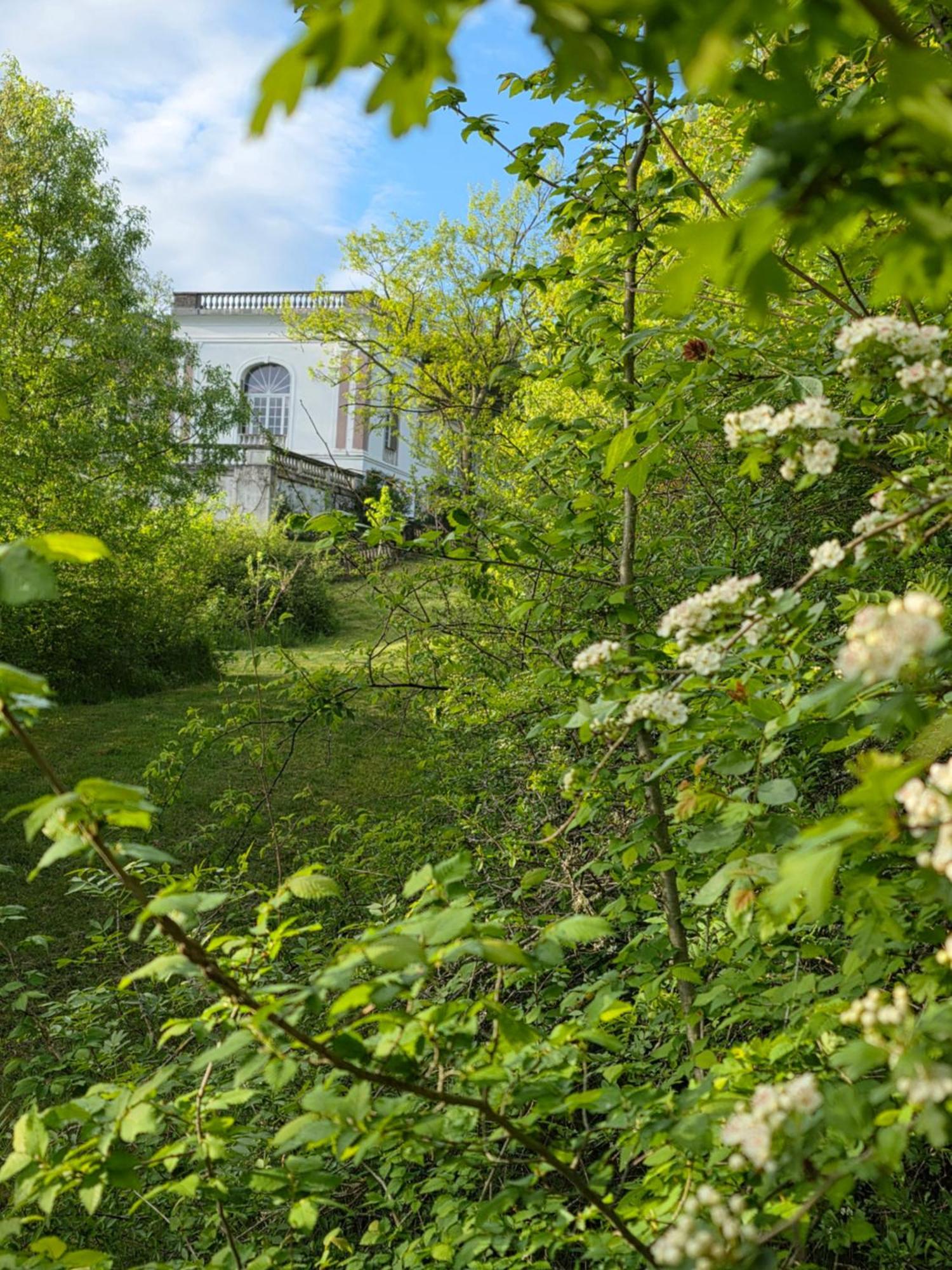 Chateau De Pourpry Damiatte Экстерьер фото